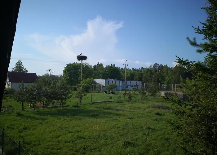 Bocian Holiday home *